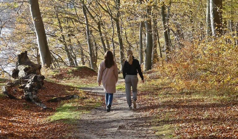Ny temaside skal gøre kommunerne klogere på brug af fritidsdata til sundhedsfremme og forebyggelse